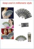money hand fan