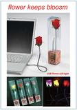 flower light - LED & USB